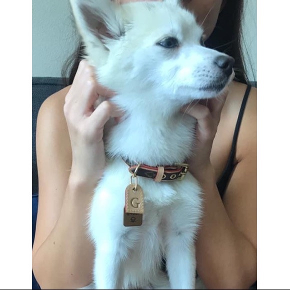 Meet your Posher, Jennifer - Picture 14 of 16